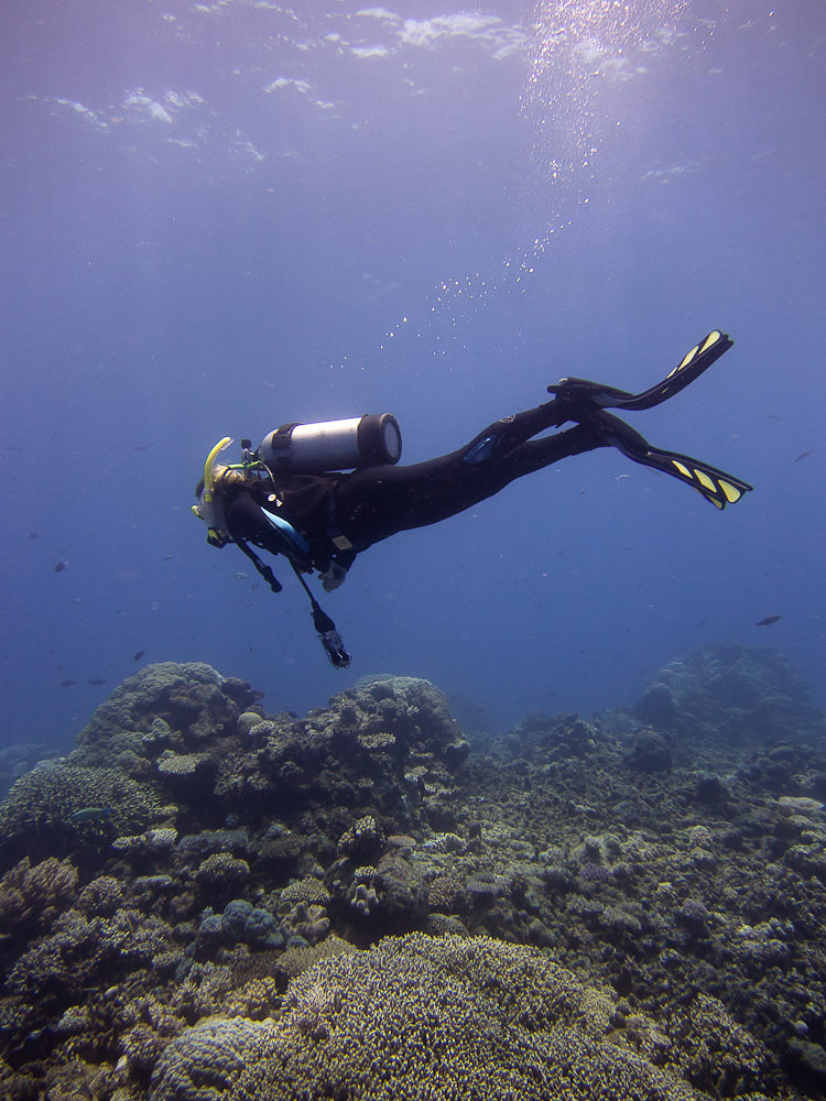 潜水员的水下潜行